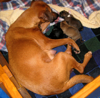 Photo credit:  
Copyright © 2007 by 
All rights reserved.