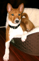 Photo credit:  Melissa Hunter
Copyright © 2008 by Melissa Hunter
All rights reserved.