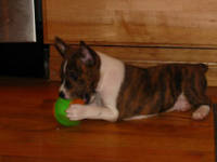 Photo credit:  Laurie Gregory
Copyright © 2009 by Laurie Gregory
All rights reserved.